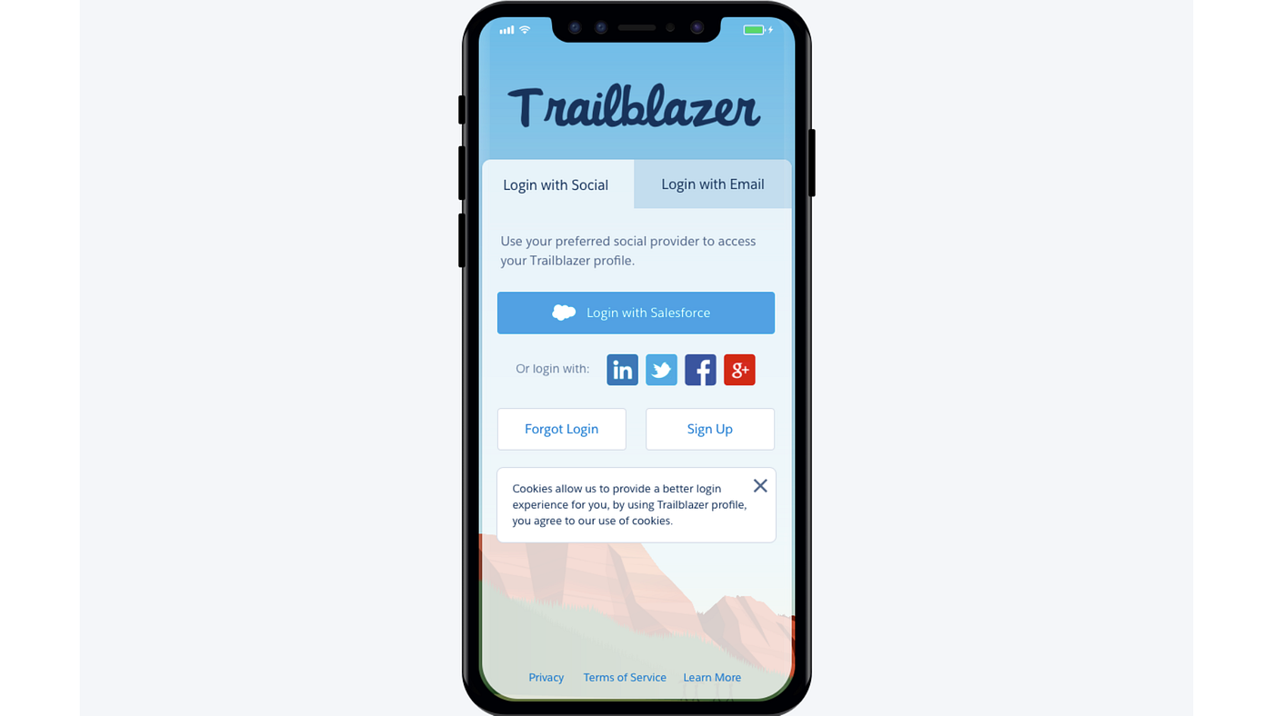 TrailblazerID slide 45